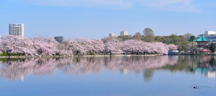 スライド風景3